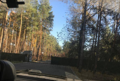 На Вишгородщині викрили схему заволодіння лісовими угіддями вартістю 2,95 млн грн (ФОТО)